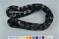 藏品(黑唇青斑海蛇)的圖片